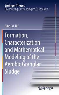 Vorderes Coverbild Formation, characterization and mathematical modeling of the aerobic granular sludge