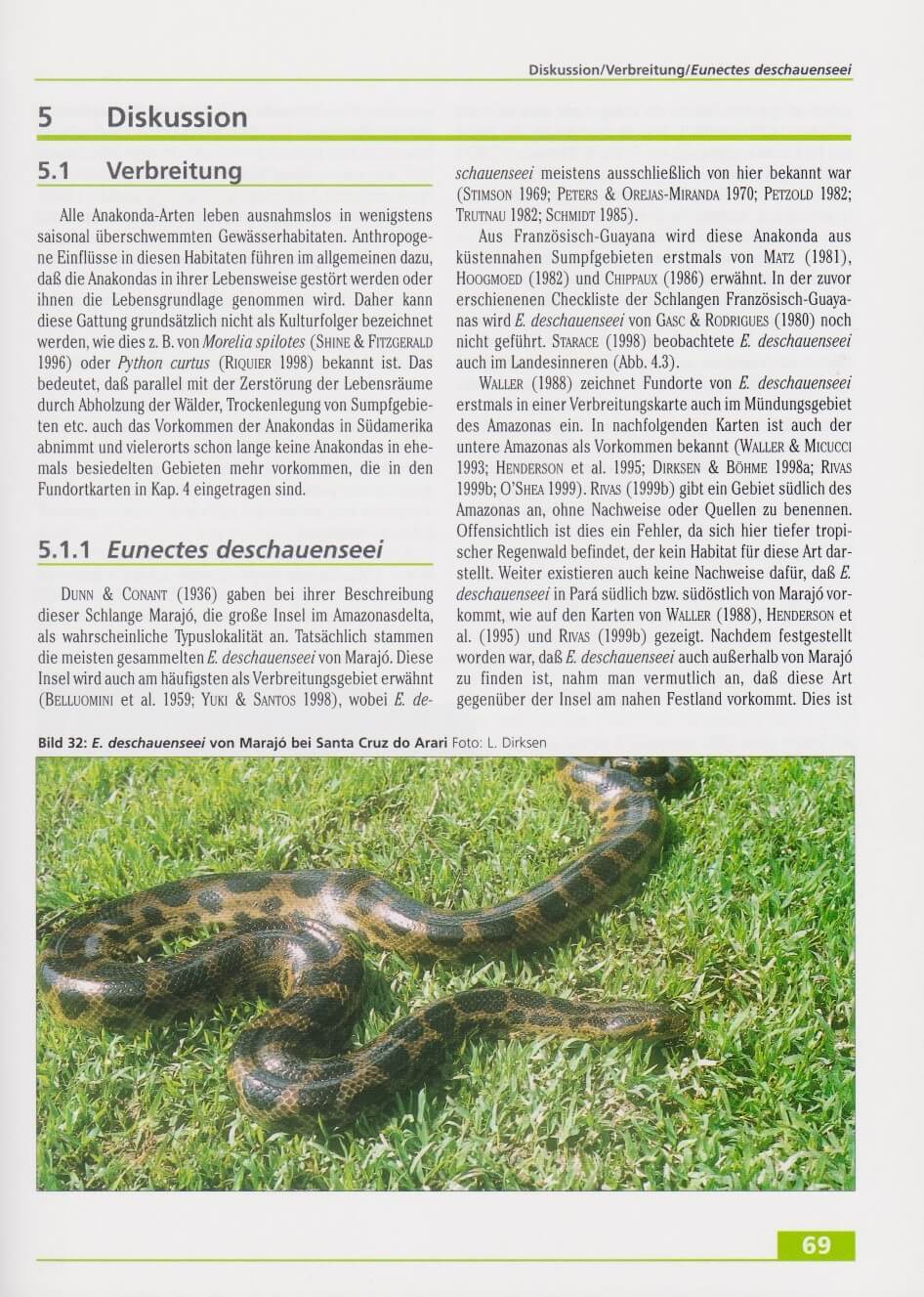 Beispielinhalt (Bild) Anakondas