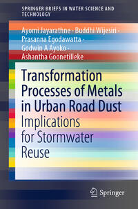 Vorderes Coverbild Transformation Processes of Metals in Urban Road Dust