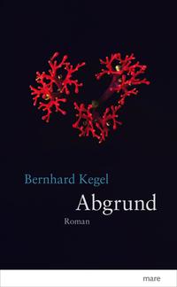 Vorderes Coverbild Abgrund