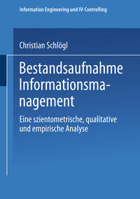 Vorderes Coverbild Bestandsaufnahme Informationsmanagement