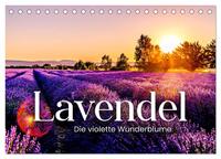 Vorderes Coverbild Lavendel - Die violette Wunderblume (Tischkalender 2025 DIN A5 quer), CALVENDO Monatskalender