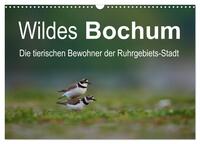 Vorderes Coverbild Wildes Bochum (Wandkalender 2026 DIN A3 quer), CALVENDO Monatskalender