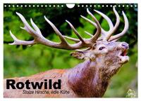Vorderes Coverbild Rotwild. Edle Hirsche, stolze Kühe (Wandkalender 2025 DIN A4 quer), CALVENDO Monatskalender