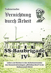 Vorderes Coverbild Todesursache: Vernichtung durch Arbeit