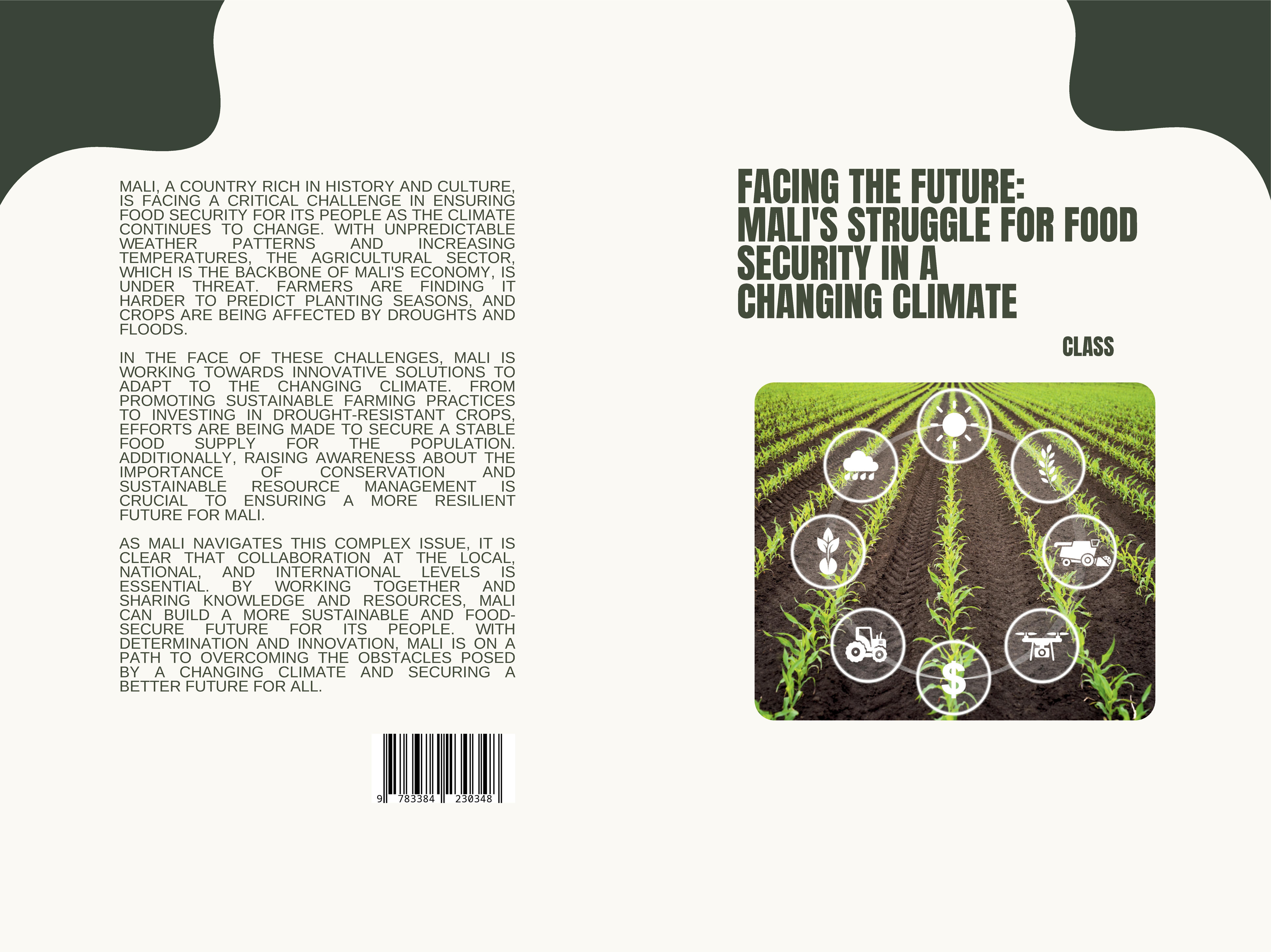 Gesamtes Coverbild Facing the Future: Mali's Struggle for Food Security in a Changing Climate