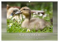 Vorderes Coverbild Laufenten - tierisch liebenswerte Zeitgenossen (Wandkalender 2026 DIN A2 quer), CALVENDO Monatskalender