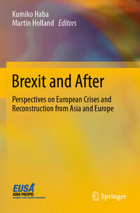 Vorderes Coverbild Brexit and After