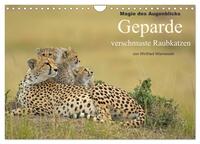 Vorderes Coverbild Magie des Augenblicks: Geparde - verschmuste Raubkatzen (Wandkalender 2025 DIN A4 quer), CALVENDO Monatskalender