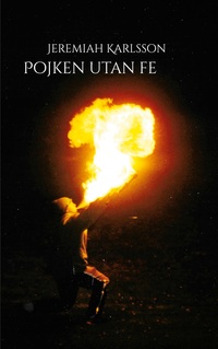 Vorderes Coverbild Pojken utan fe