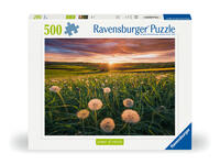 Vorderes Coverbild Erwachsenenpuzzle 500 Teile - Pusteblumen im Sonnenuntergang
