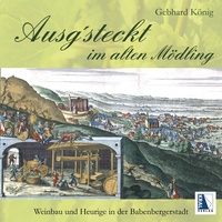 Vorderes Coverbild Ausg'steckt im alten Mödling