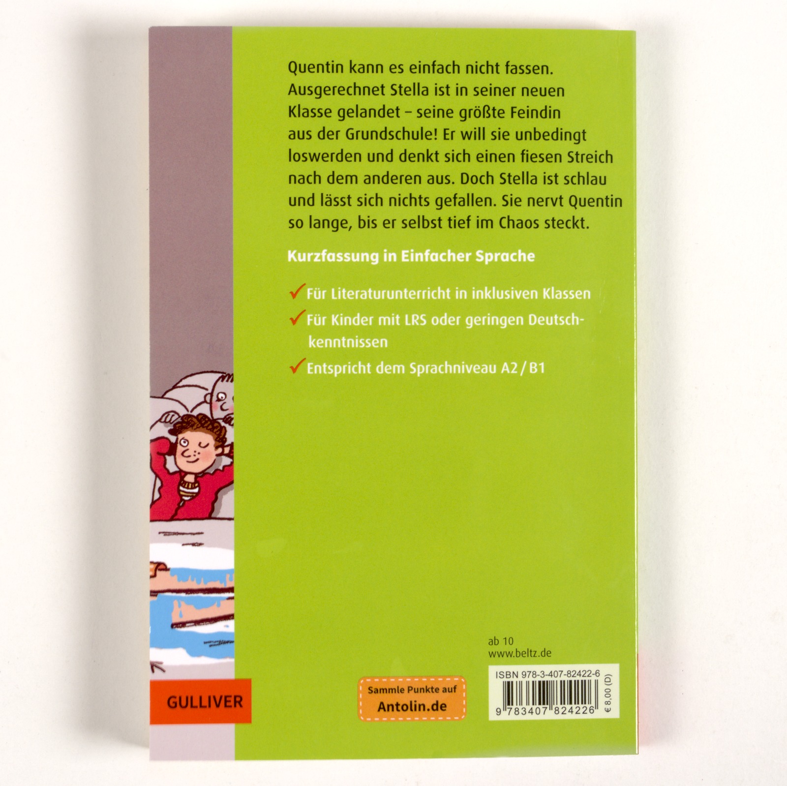 Rückseitencover Kurzfassung in Einfacher Sprache. Master of Disaster