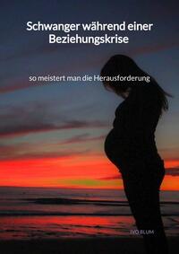 Vorderes Coverbild Schwanger während einer Beziehungskrise - so meistert man die Herausforderung