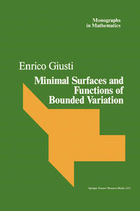 Vorderes Coverbild Minimal Surfaces and Functions of Bounded Variation