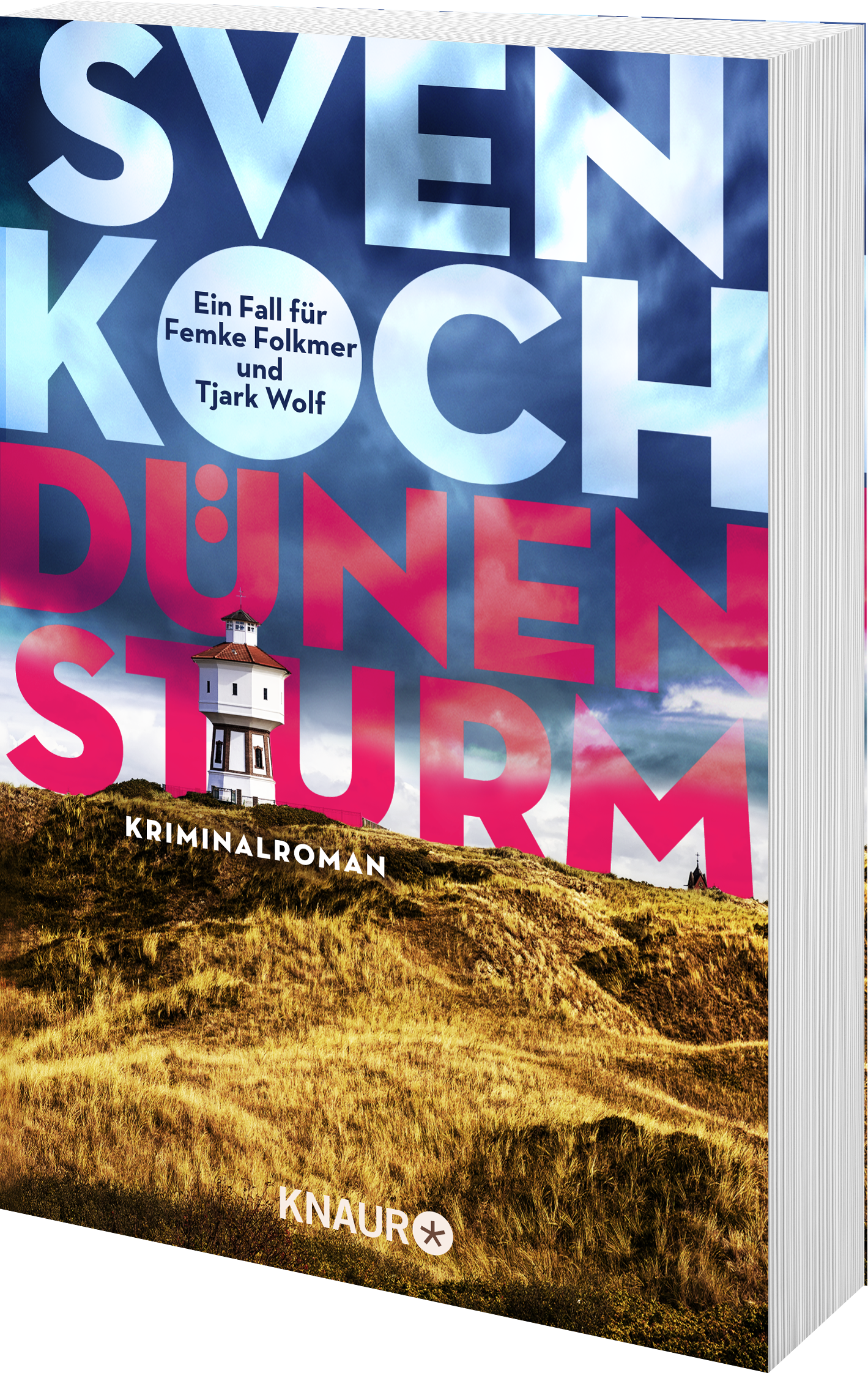 Anderes Coverbild Dünensturm