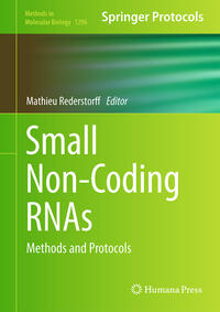 Vorderes Coverbild Small Non-Coding RNAs
