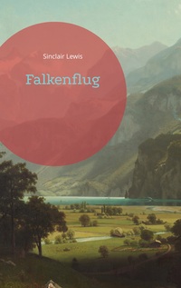 Vorderes Coverbild Falkenflug