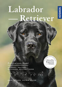 Vorderes Coverbild Labrador Retriever