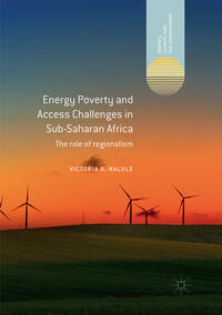 Vorderes Coverbild Energy Poverty and Access Challenges in Sub-Saharan Africa