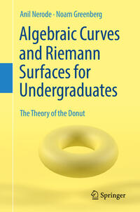 Vorderes Coverbild Algebraic Curves and Riemann Surfaces for Undergraduates