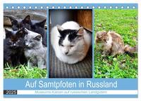 Vorderes Coverbild Auf Samtpfoten in Russland - Museums-Katzen auf russischen Landgütern (Tischkalender 2025 DIN A5 quer), CALVENDO Monatskalender