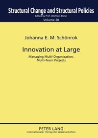 Vorderes Coverbild Innovation at Large