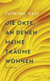 Vorderes Coverbild Die Orte, an denen meine Träume wohnen