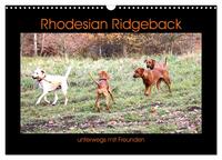 Vorderes Coverbild Rhodesian Ridgeback unterwegs mit Freunden (Wandkalender 2025 DIN A3 quer), CALVENDO Monatskalender