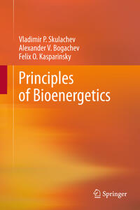 Vorderes Coverbild Principles of Bioenergetics