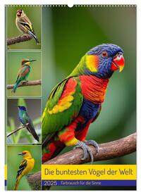 Vorderes Coverbild Die buntesten Vögel der Welt (Wandkalender 2025 DIN A2 hoch), CALVENDO Monatskalender