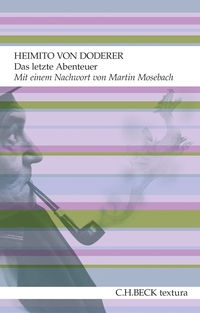 Vorderes Coverbild Das letzte Abenteuer
