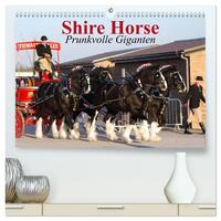 Vorderes Coverbild Shire Horse • Prunkvolle Giganten (hochwertiger Premium Wandkalender 2026 DIN A2 quer), Kunstdruck in Hochglanz