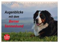 Vorderes Coverbild Augenblicke mit dem Berner Sennenhund (Tischkalender 2025 DIN A5 quer), CALVENDO Monatskalender