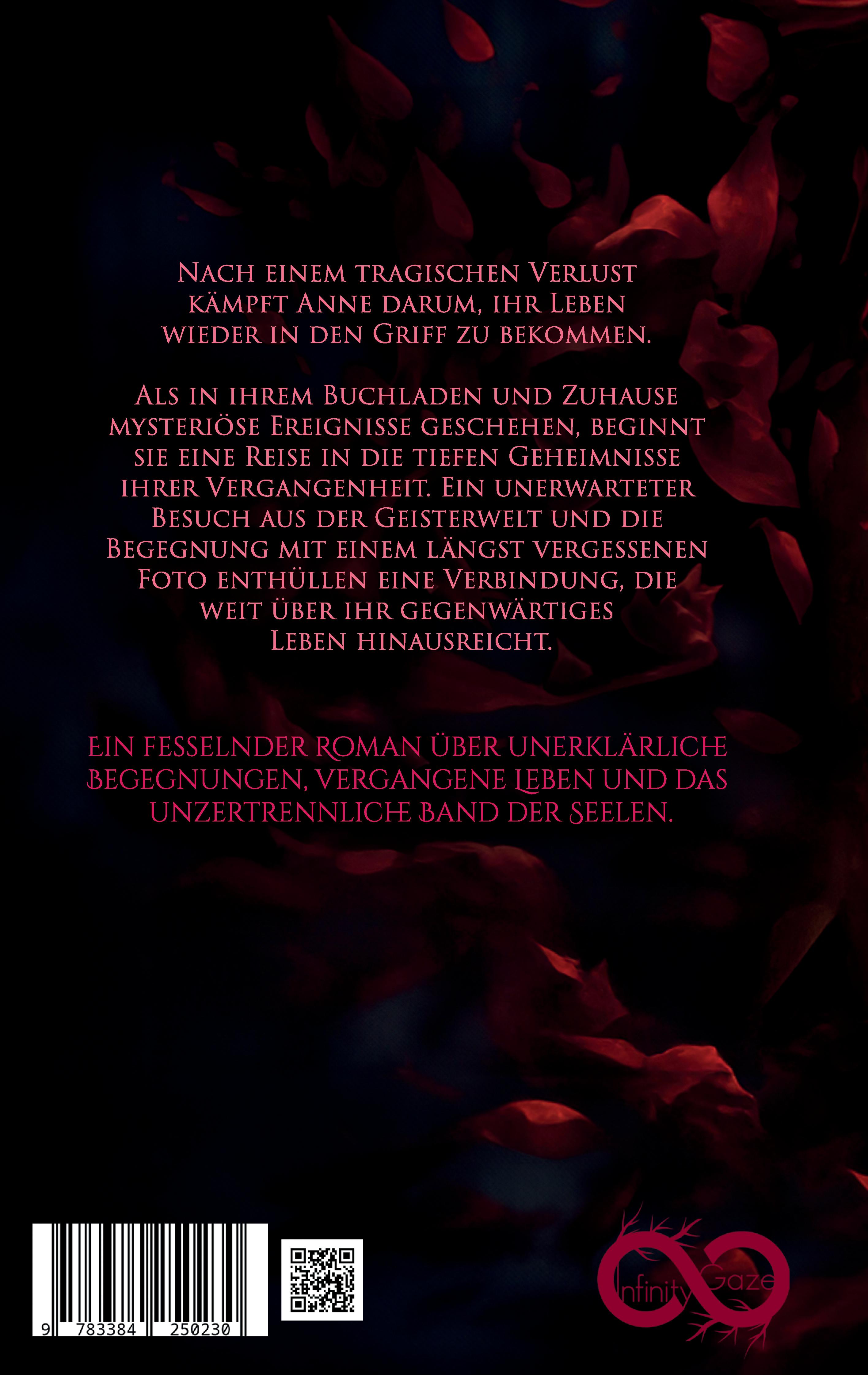 Rückseitencover Seelenzwilling