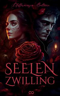 Vorderes Coverbild Seelenzwilling