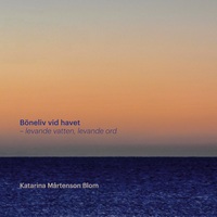 Vorderes Coverbild Böneliv vid havet