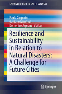Vorderes Coverbild Resilience and Sustainability in Relation to Natural Disasters: A Challenge for Future Cities