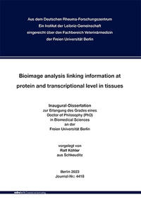 Vorderes Coverbild Bioimage analysis linking information at protein and transcriptional level in tissues