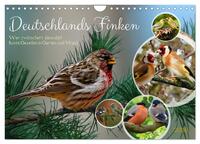 Vorderes Coverbild Deutschlands Finken (Wandkalender 2026 DIN A4 quer), CALVENDO Monatskalender