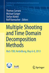 Vorderes Coverbild Multiple Shooting and Time Domain Decomposition Methods