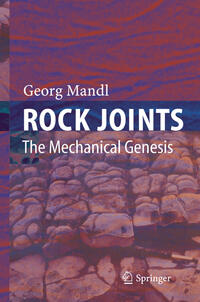 Vorderes Coverbild Rock Joints