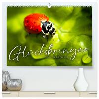 Vorderes Coverbild Glücksbringer - Dem Glück auf der Spur. (hochwertiger Premium Wandkalender 2025 DIN A2 quer), Kunstdruck in Hochglanz