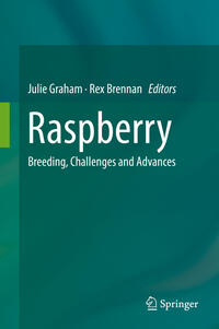 Vorderes Coverbild Raspberry