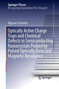 Vorderes Coverbild Optically Active Charge Traps and Chemical Defects in Semiconducting Nanocrystals Probed by Pulsed Optically Detected Magnetic Resonance