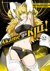 Vorderes Coverbild Akame ga KILL! 12