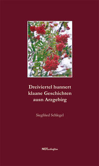 Vorderes Coverbild Dreiviertel hunnert klaane Geschichten ausn Arzgebirg