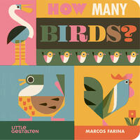 Vorderes Coverbild How Many Birds?