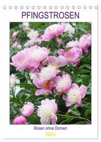 Vorderes Coverbild Pfingstrosen Rosen ohne Dornen (Tischkalender 2025 DIN A5 hoch), CALVENDO Monatskalender