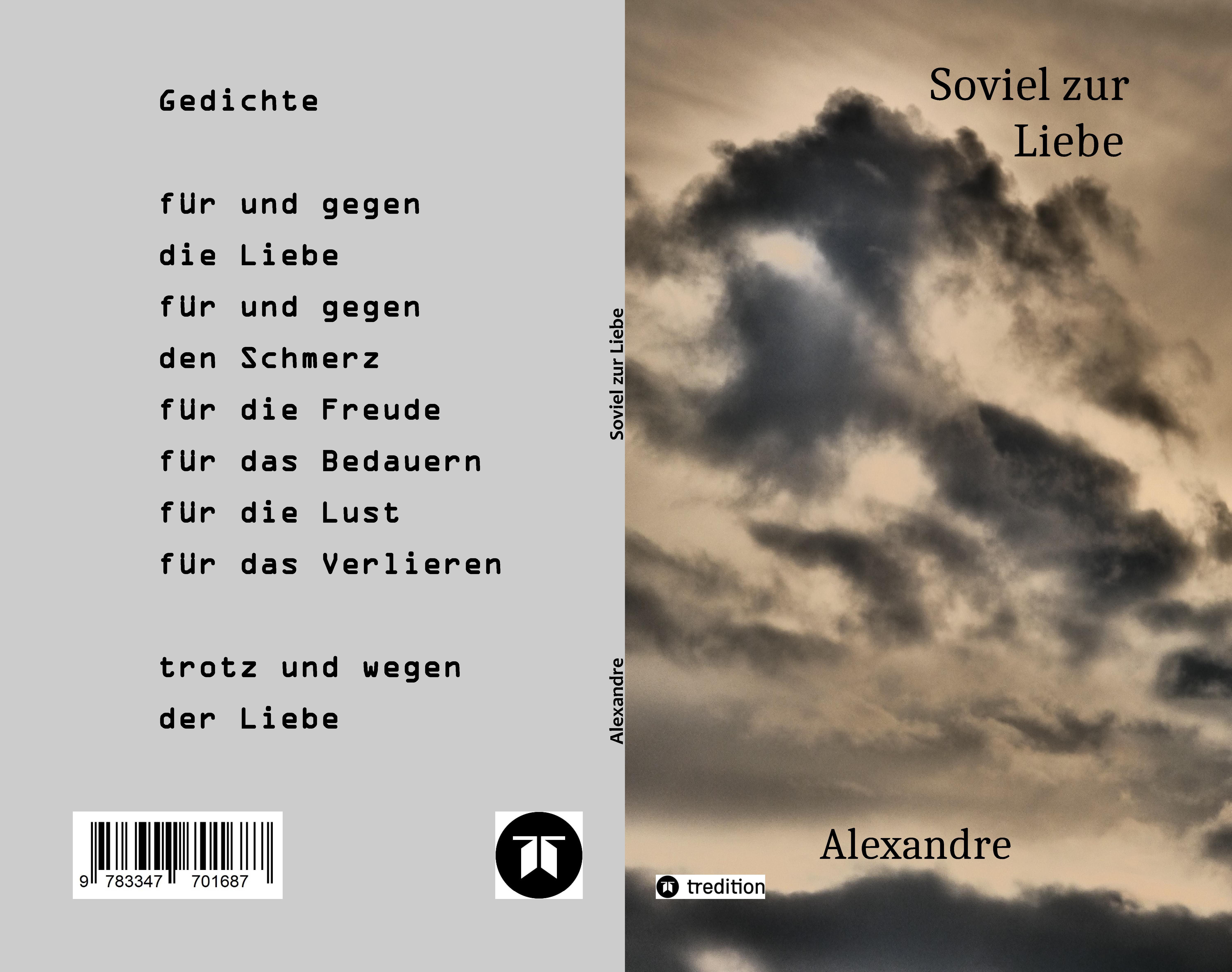Gesamtes Coverbild Soviel zur Liebe